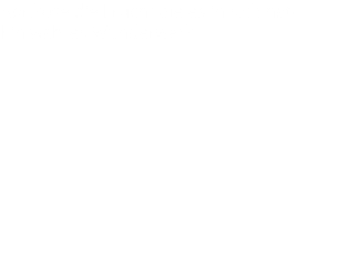 Aprikose die Frucht die es in sich hat! Ein wahres Wunderwerk.